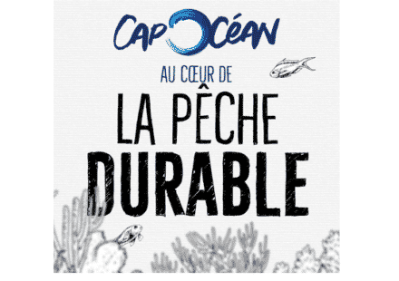 Cap Océan est activement engagé dans la pêche responsable