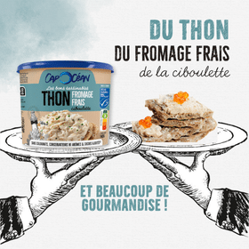 Les tartinables Thon Fromage Frais